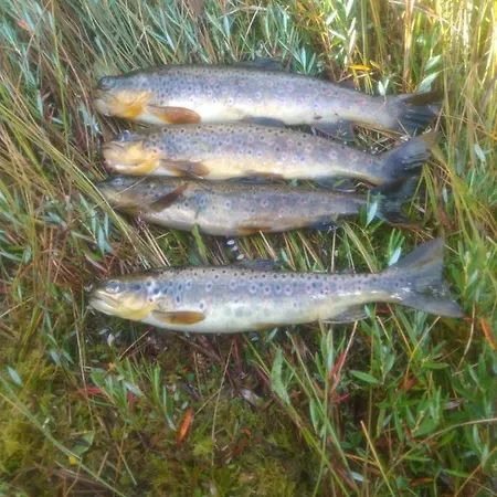 Norbel Norway Hébergement de vacances