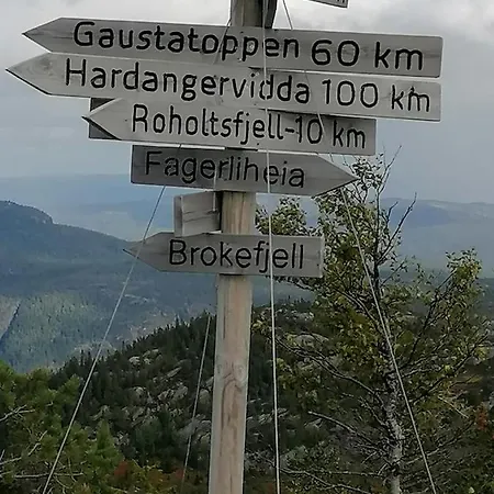 Semesterbostad Norbel Norway Vrådal