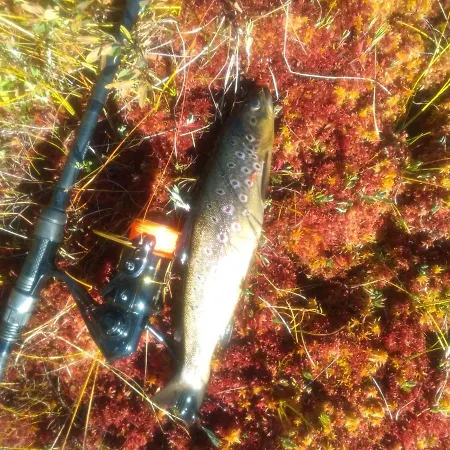 Semesterbostad Norbel Norway