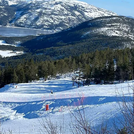 Dom wakacyjny Norbel Norway Vrådal
