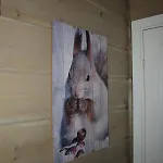 Prázdninový dům Norbel Norway